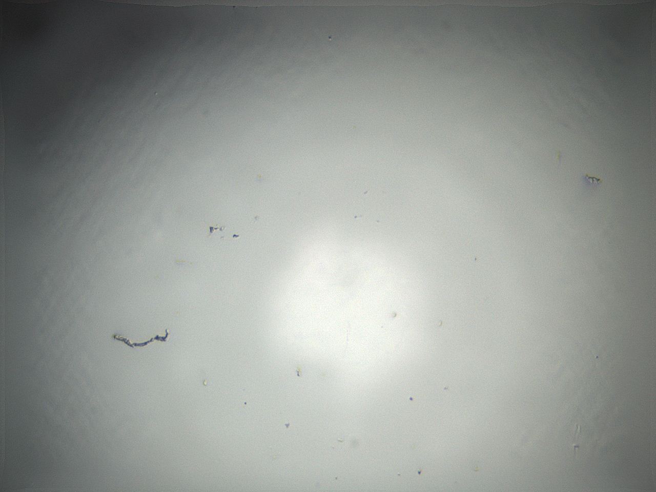 04vf_B12_ImagerDefaults_0.jpg