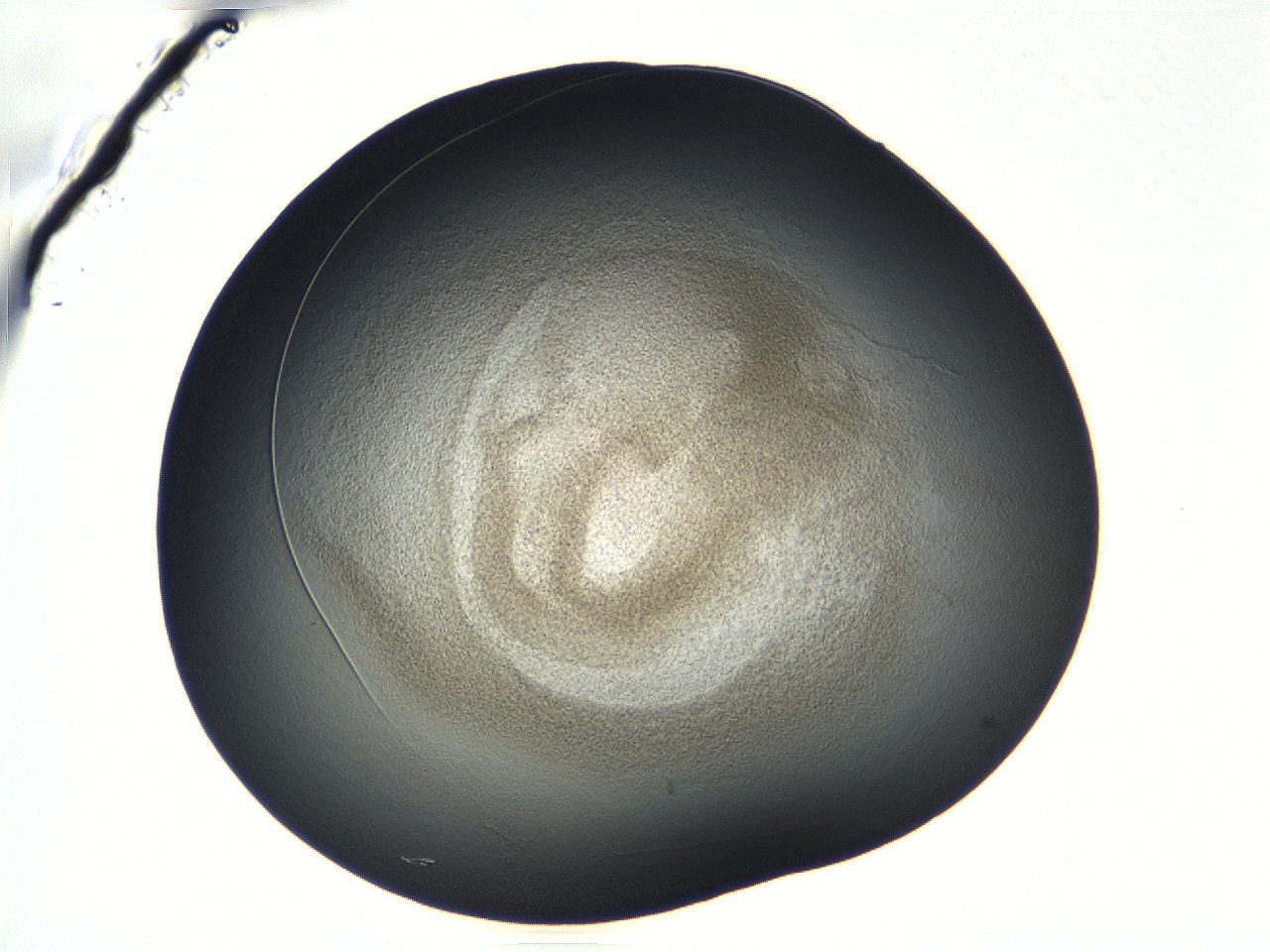 04vf_D1_ImagerDefaults_3.jpg