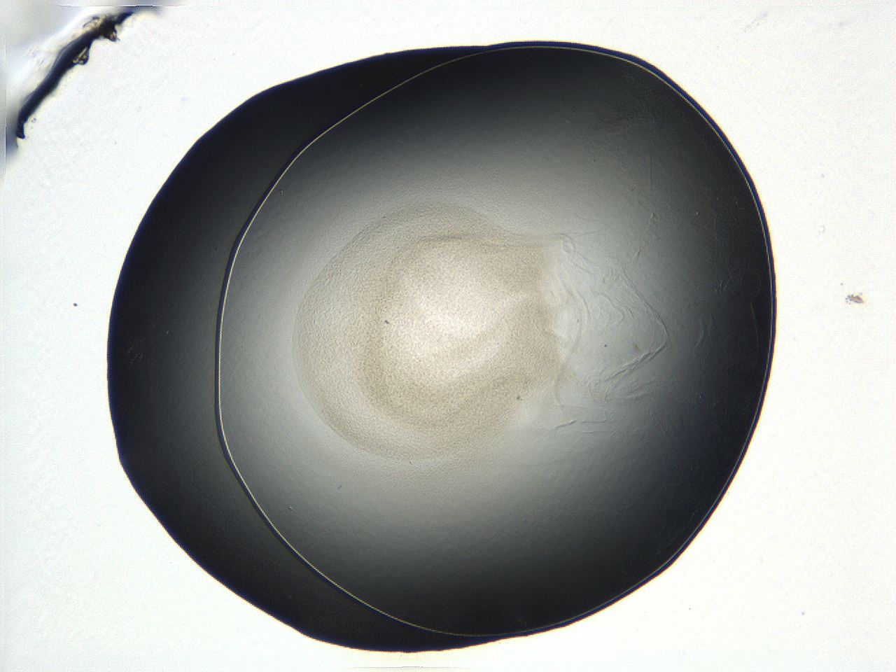 04vf_C11_ImagerDefaults_3.jpg