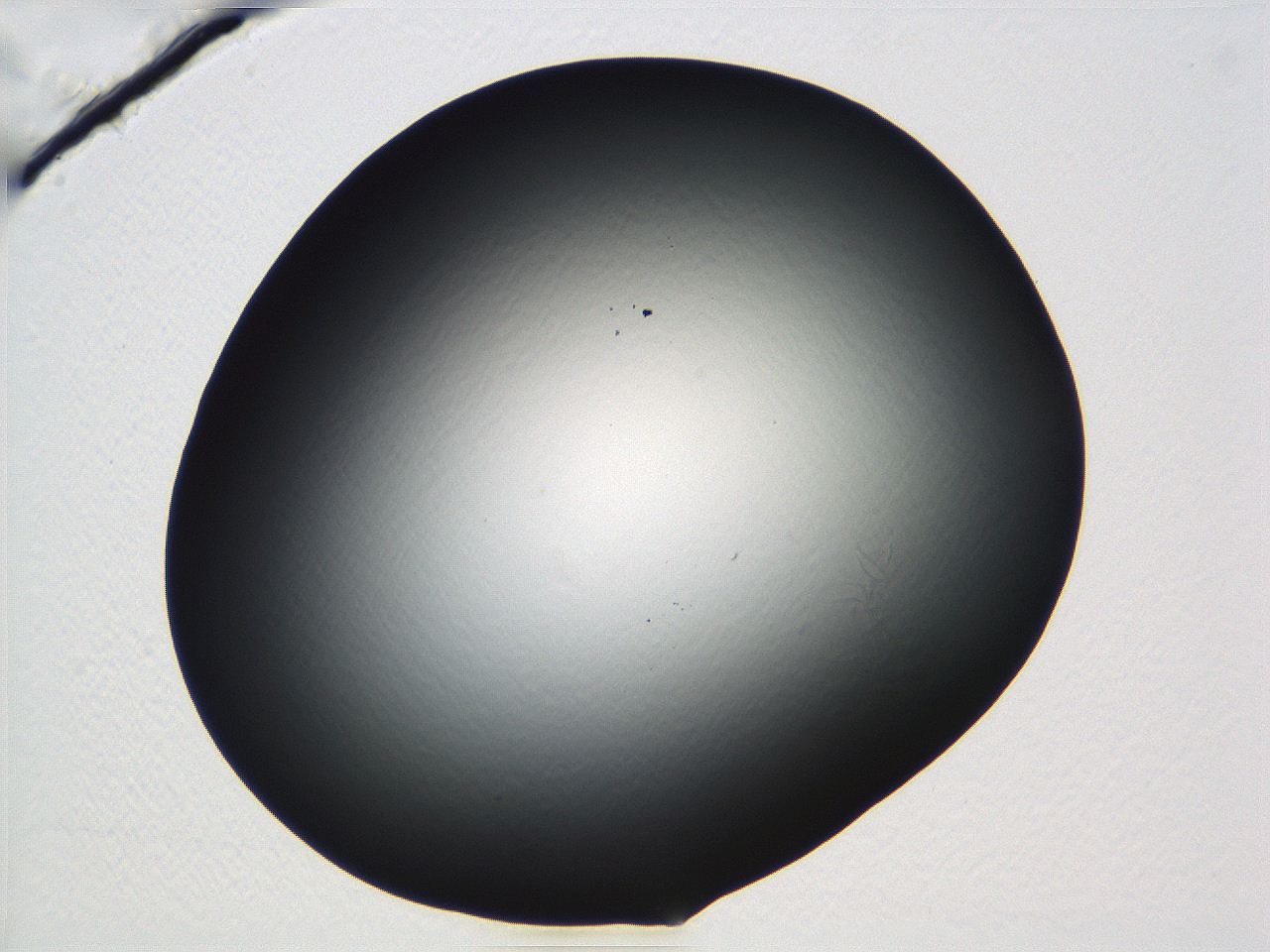 04vf_C10_ImagerDefaults_0.jpg