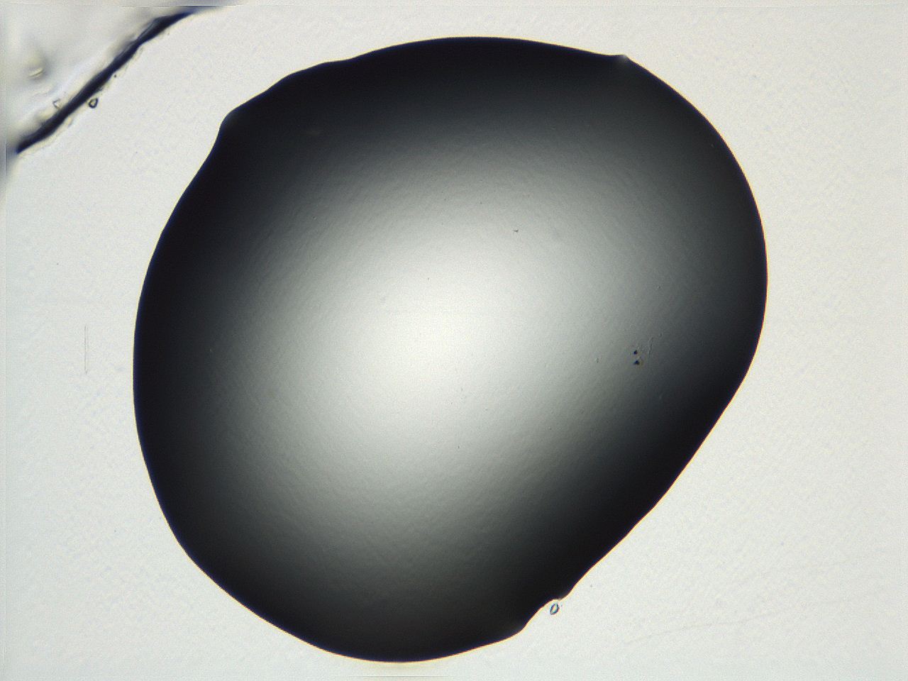 04vf_C9_ImagerDefaults_0.jpg