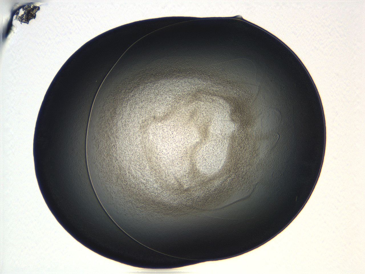 04vf_C6_ImagerDefaults_3.jpg