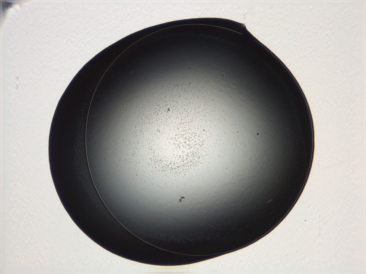04vf_A8_ImagerDefaults_3.jpg