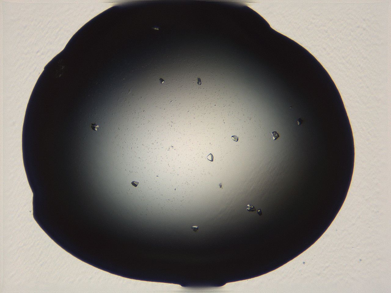 04vf_A6_ImagerDefaults_9.jpg