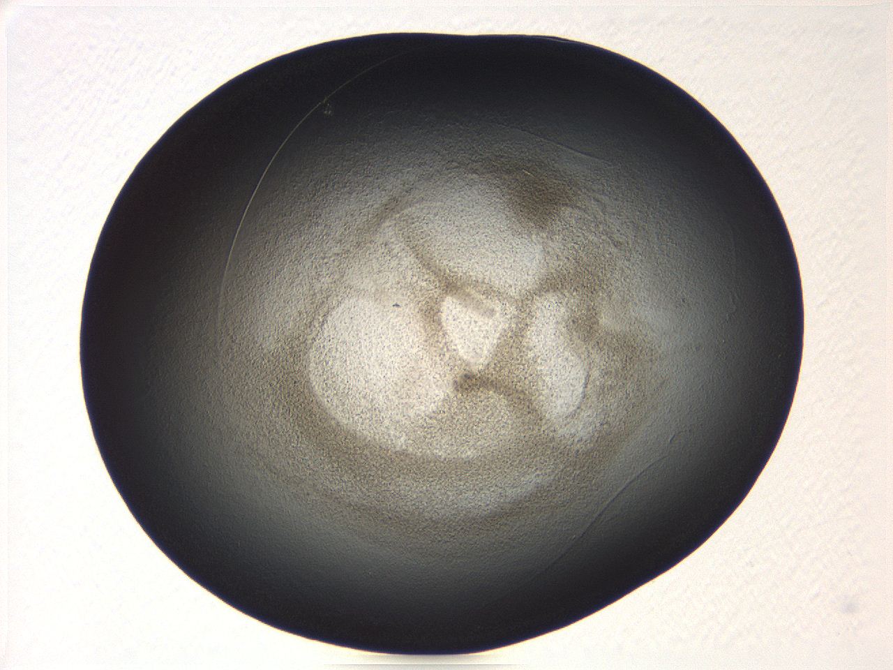 04vf_A1_ImagerDefaults_3.jpg