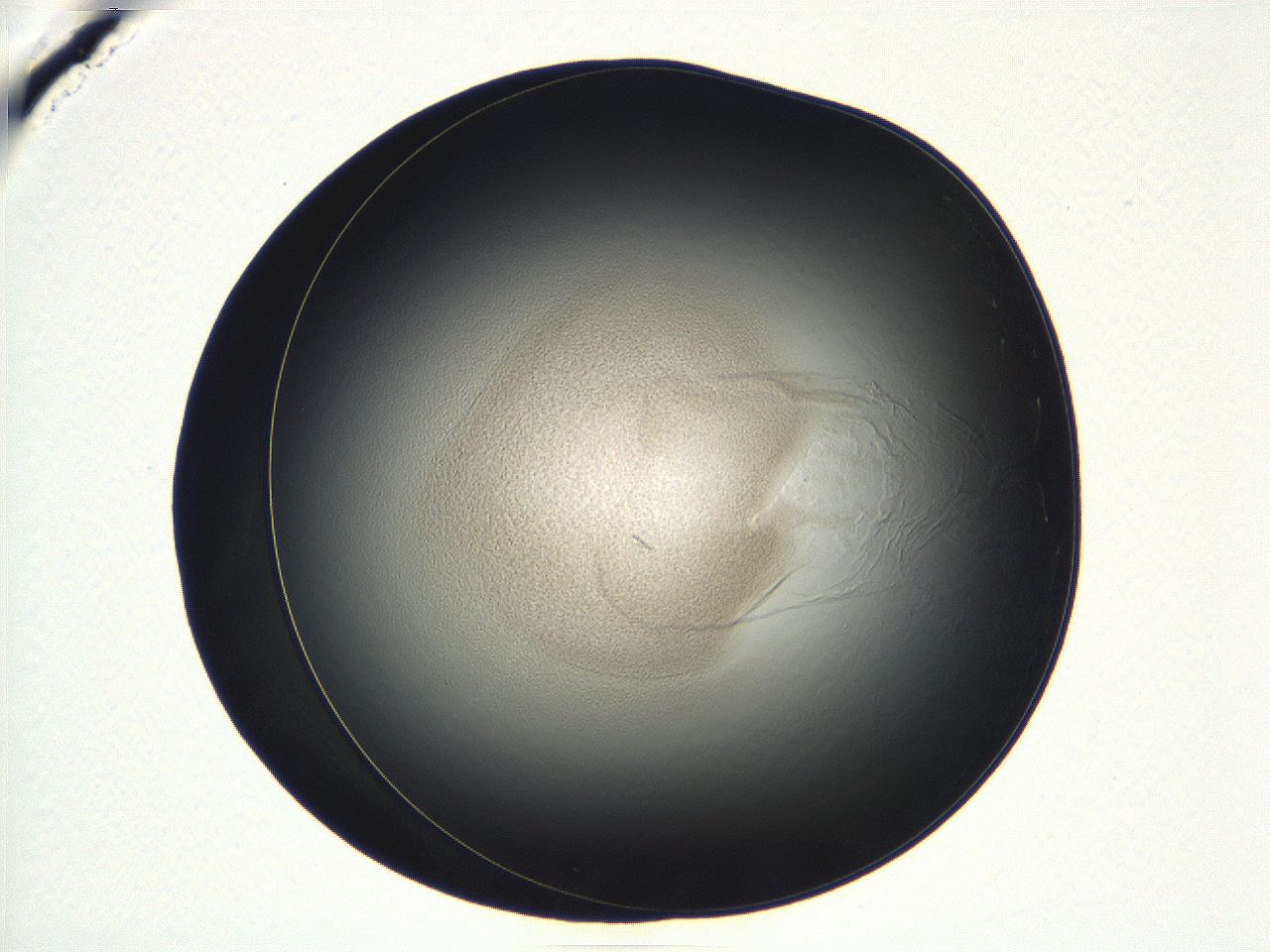 04vf_D11_ImagerDefaults_3.jpg