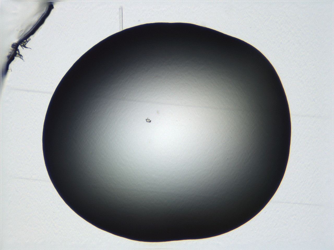 04vf_D10_ImagerDefaults_0.jpg
