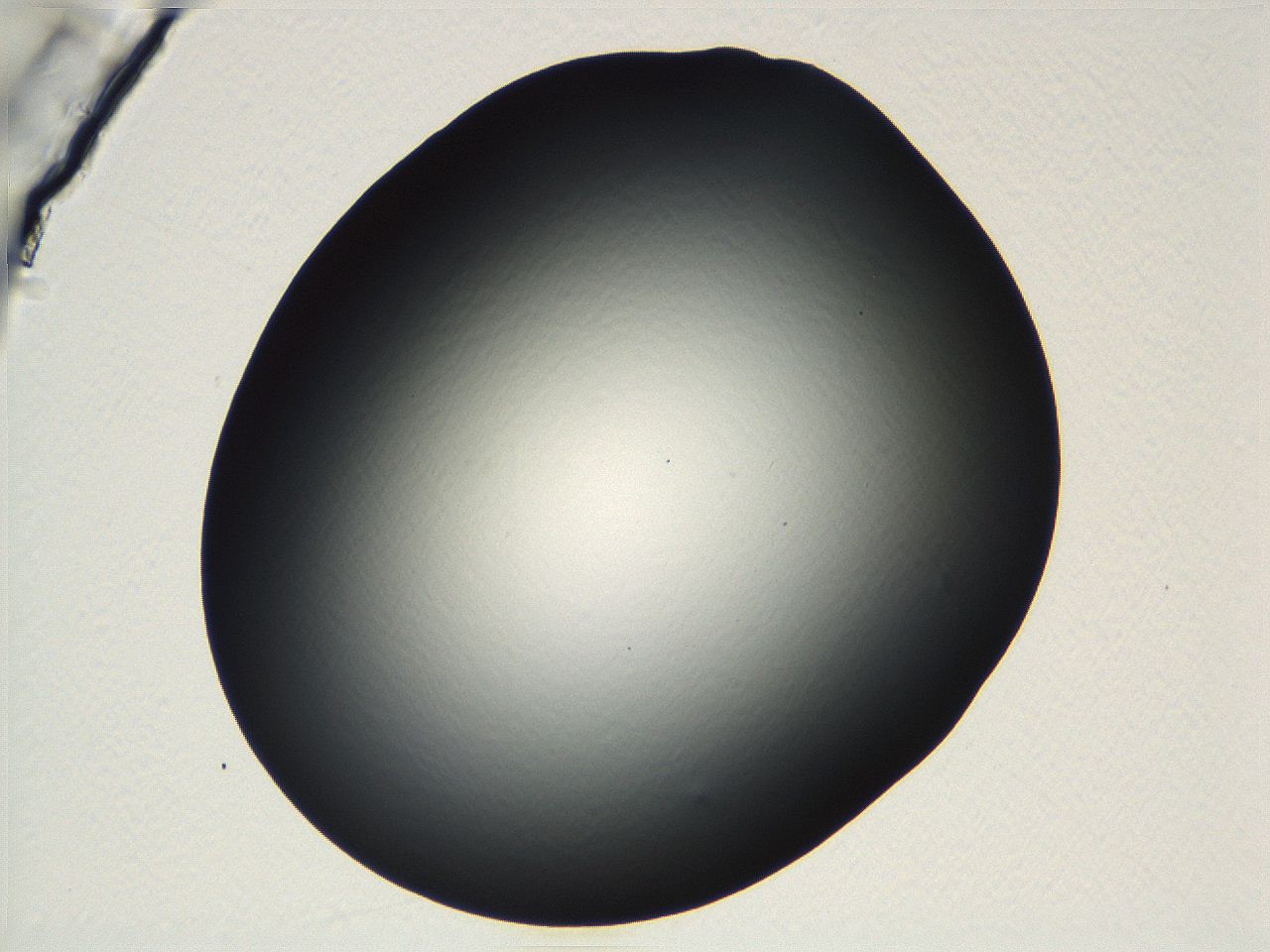 04vf_D4_ImagerDefaults_0.jpg