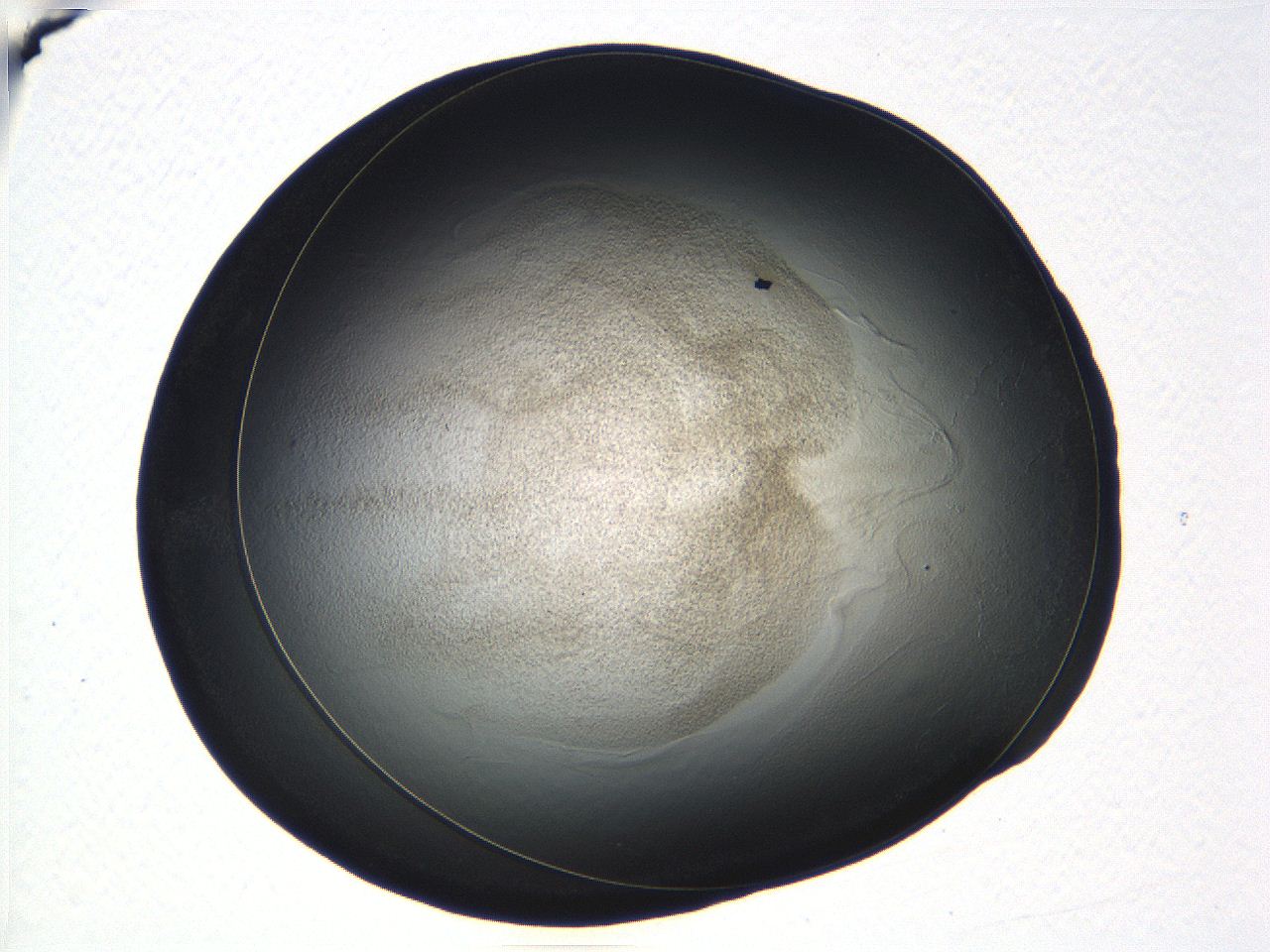 04vf_D6_ImagerDefaults_3.jpg