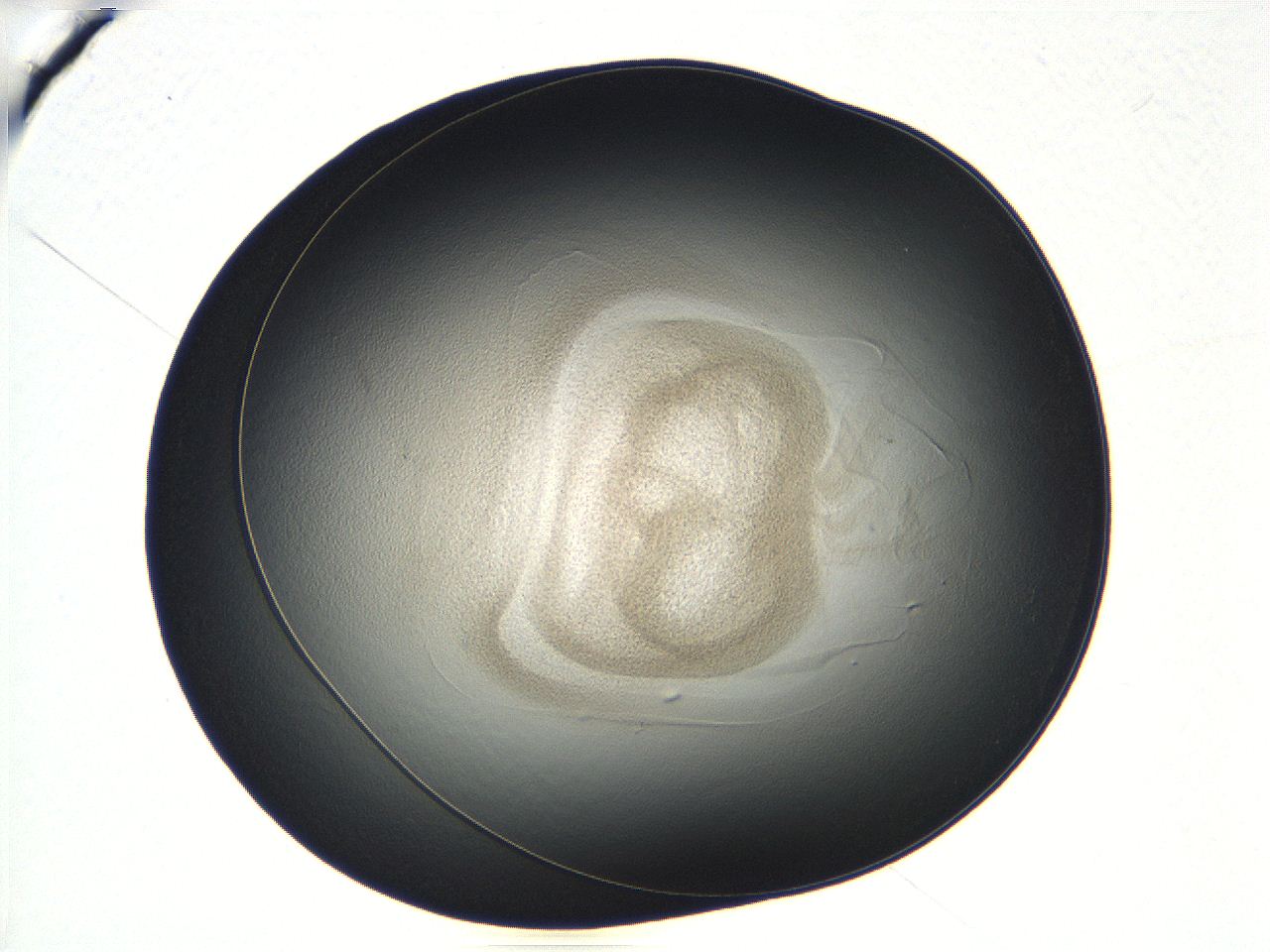 04vf_D7_ImagerDefaults_3.jpg