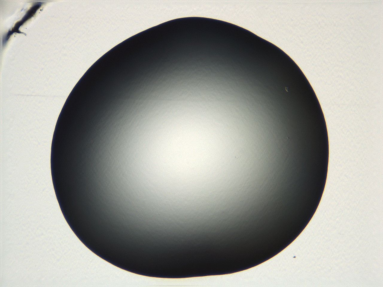04vf_D9_ImagerDefaults_0.jpg