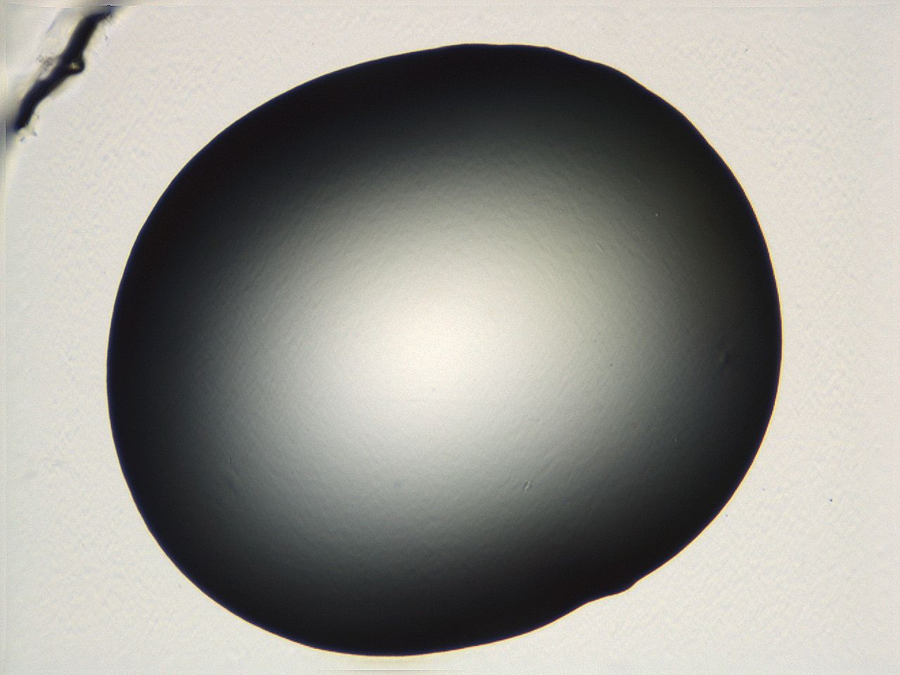 04vf_E8_ImagerDefaults_0.jpg