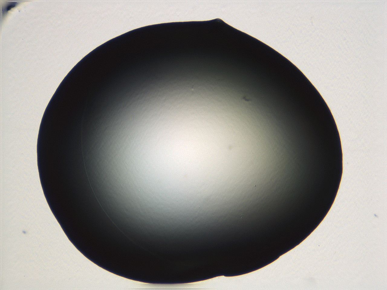 04vf_E12_ImagerDefaults_0.jpg