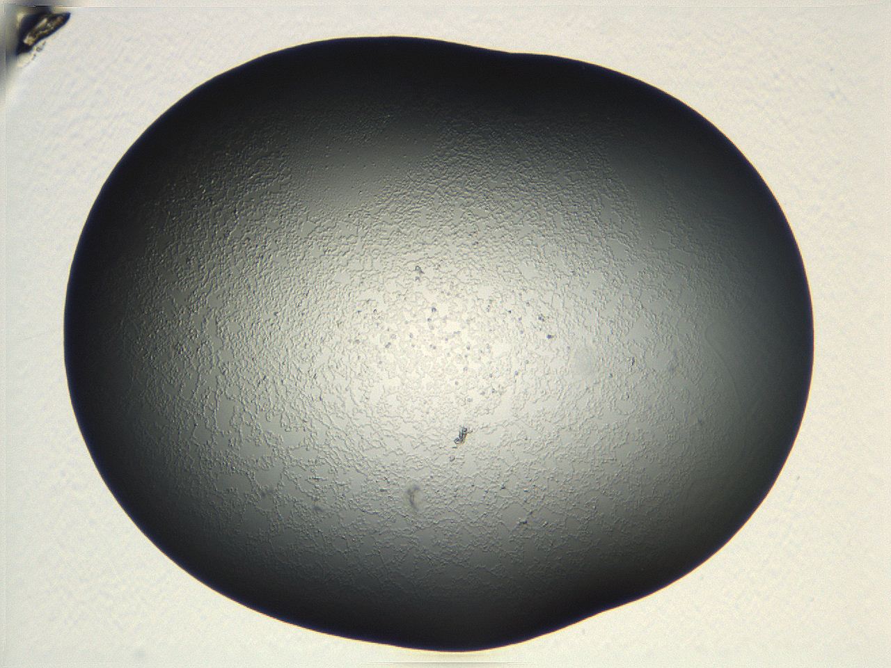 04vf_F1_ImagerDefaults_3.jpg