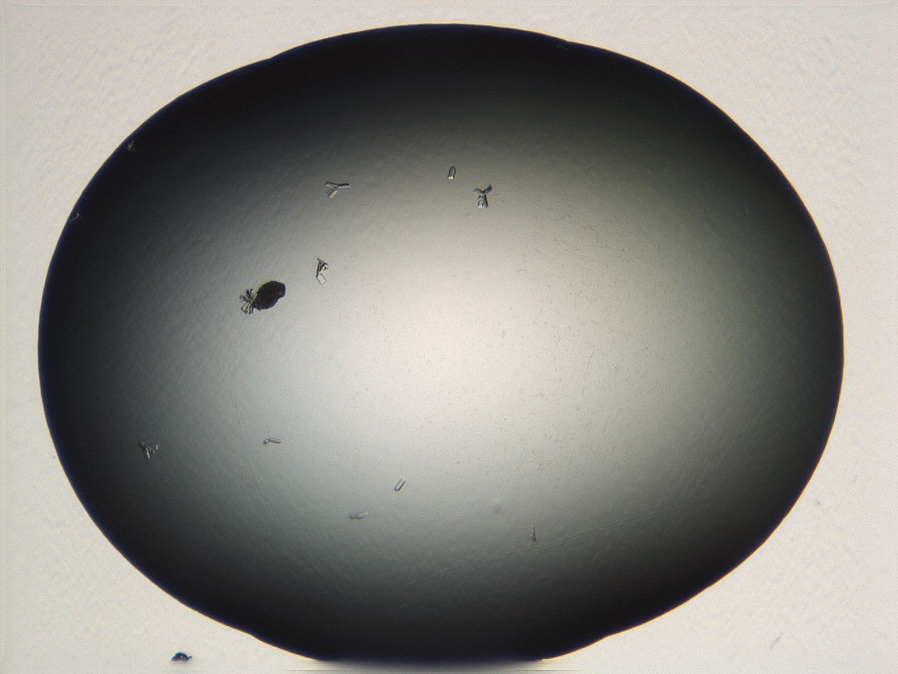 04vf_F4_ImagerDefaults_9.jpg