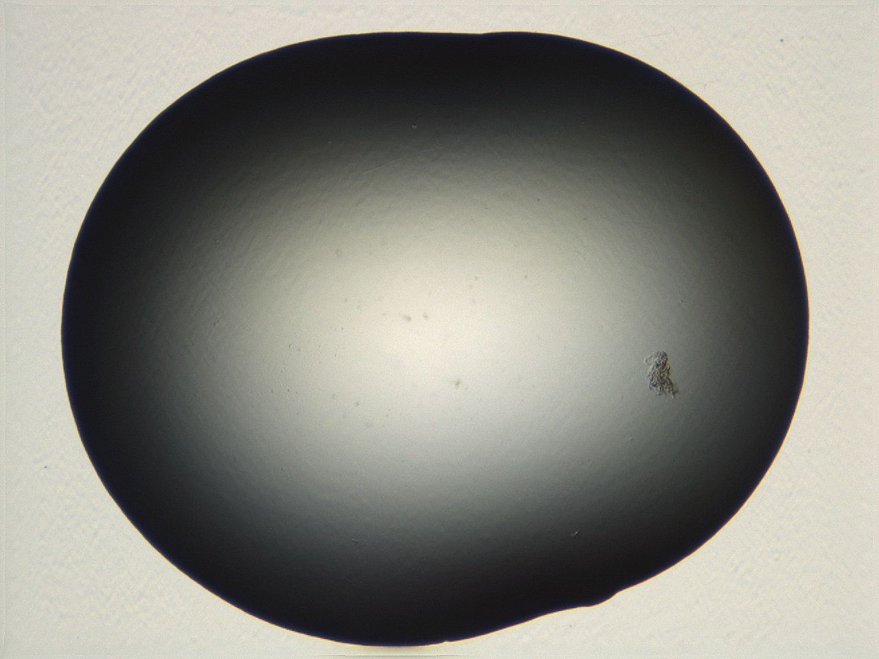 04vf_F7_ImagerDefaults_0.jpg