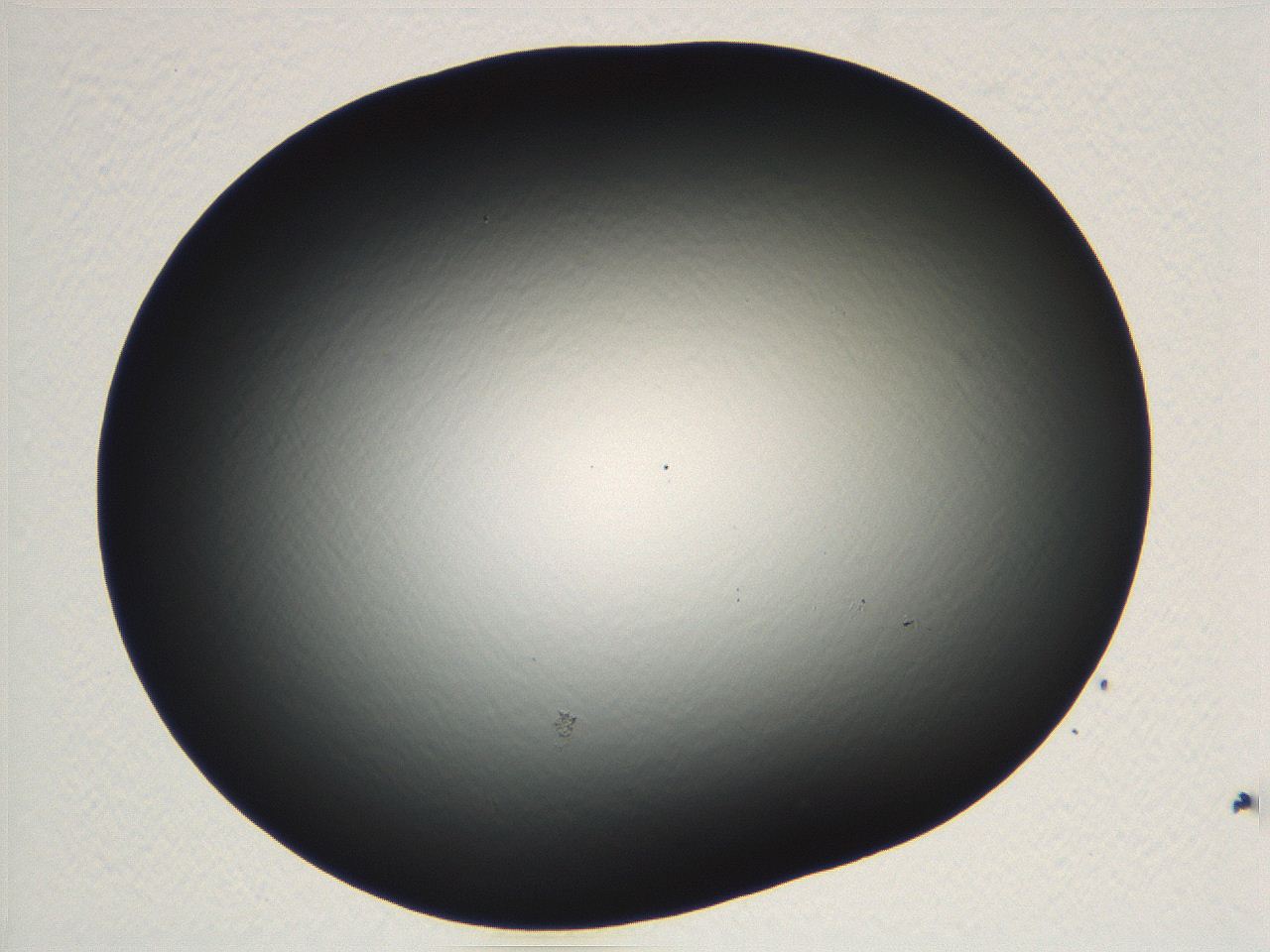04vf_F8_ImagerDefaults_0.jpg
