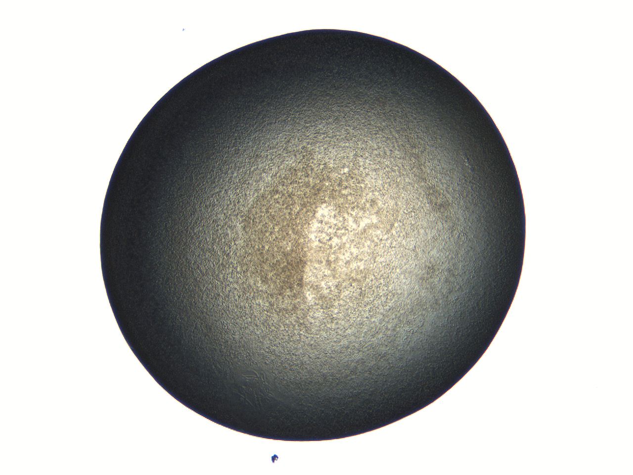 04vf_G5_ImagerDefaults_3.jpg