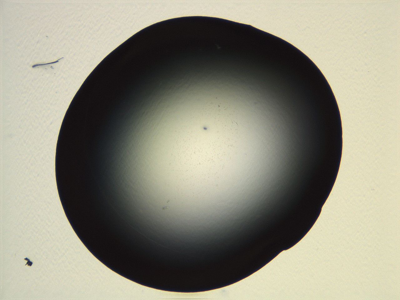 04vf_G10_ImagerDefaults_0.jpg