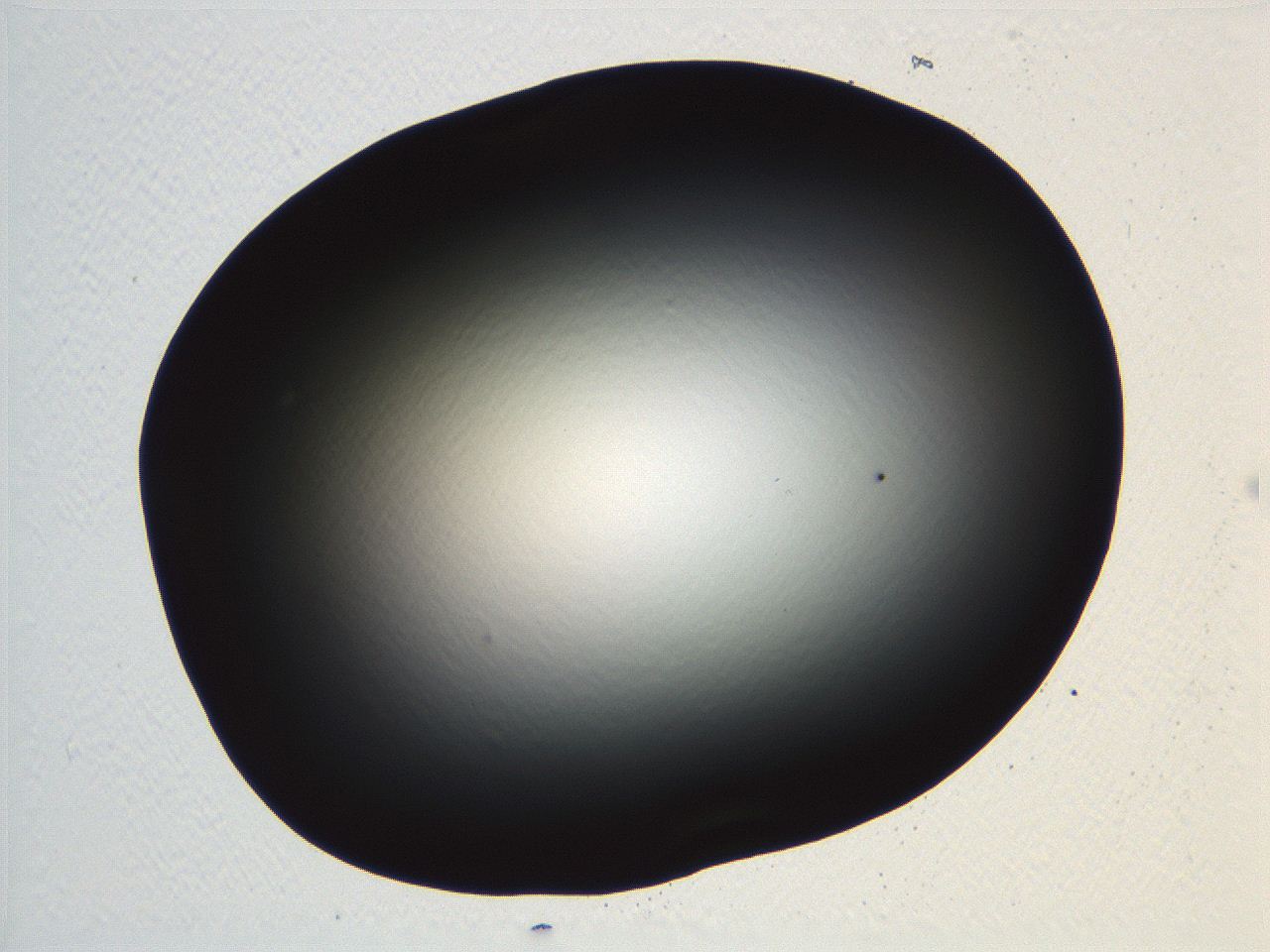 04vf_G12_ImagerDefaults_0.jpg