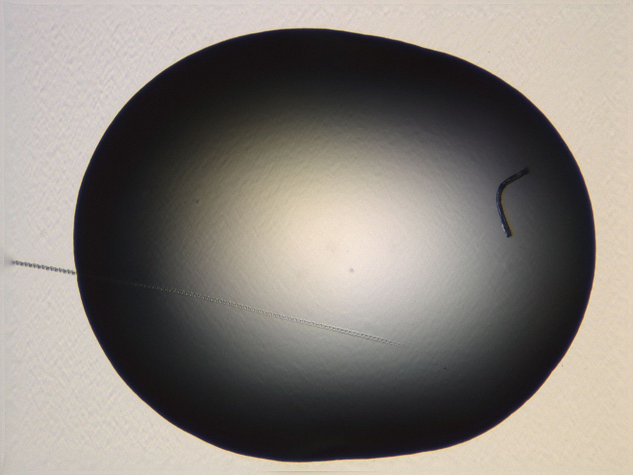 04vf_H6_ImagerDefaults_0.jpg