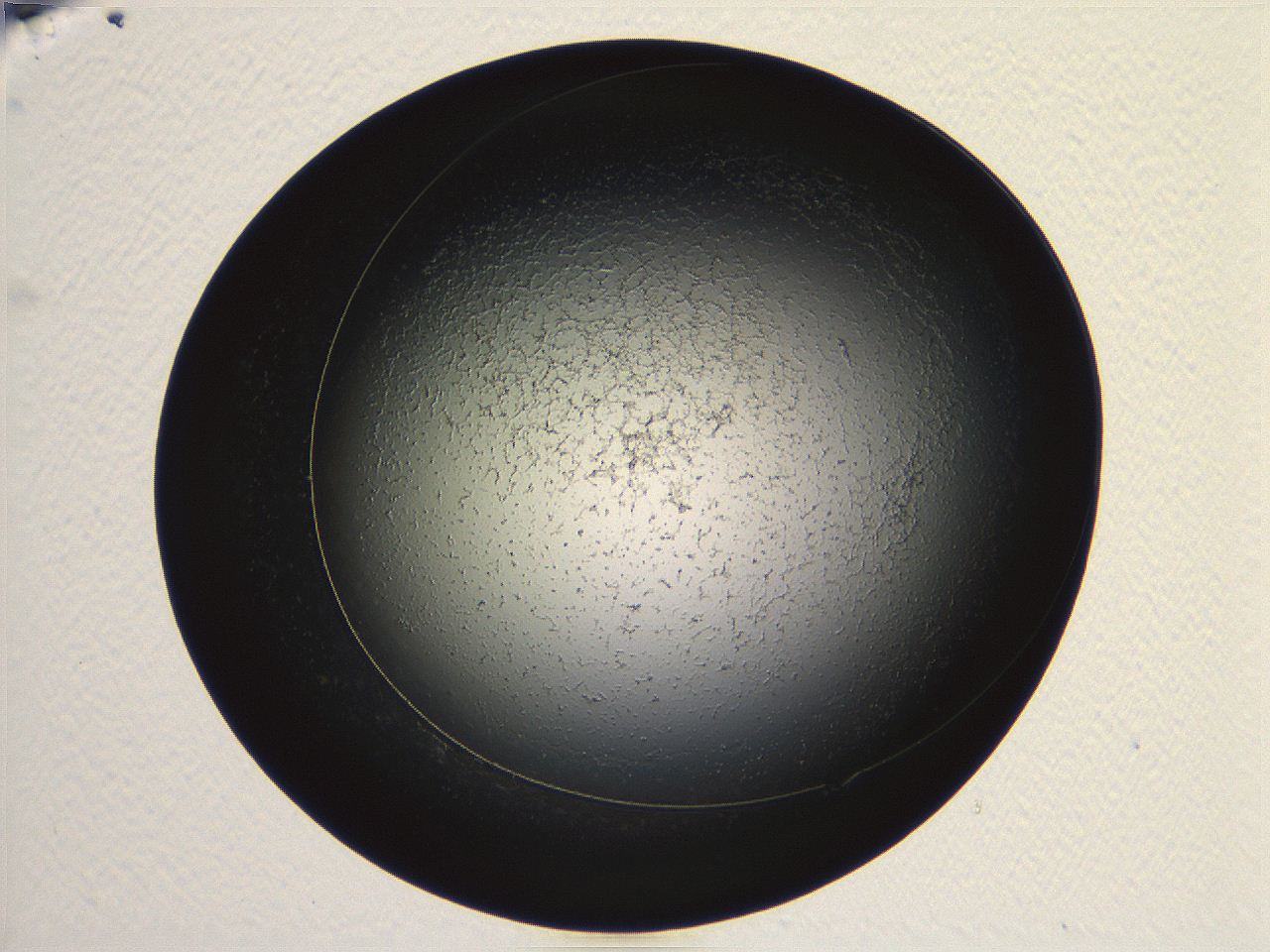04vf_H7_ImagerDefaults_3.jpg