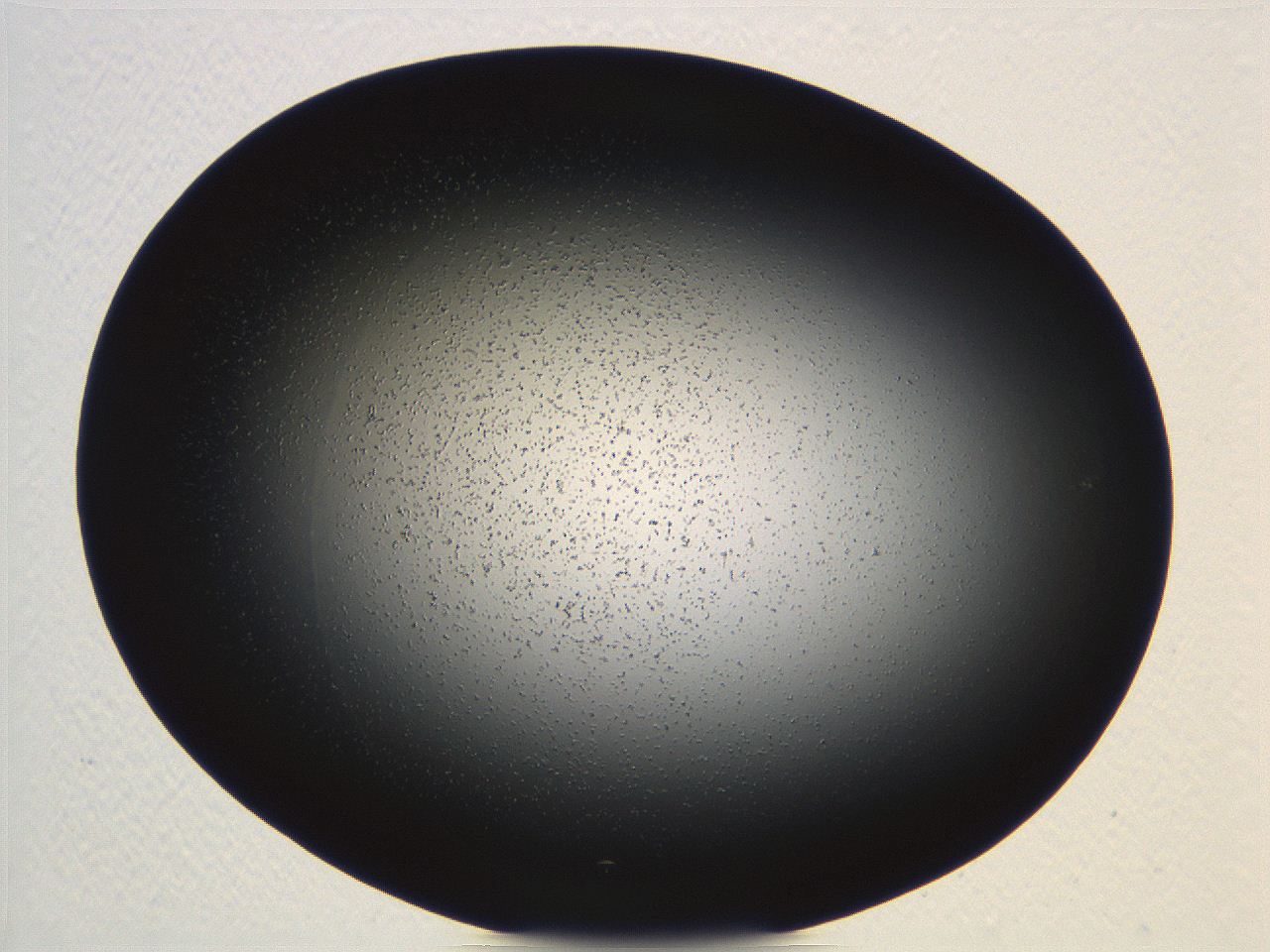 04vf_H10_ImagerDefaults_3.jpg