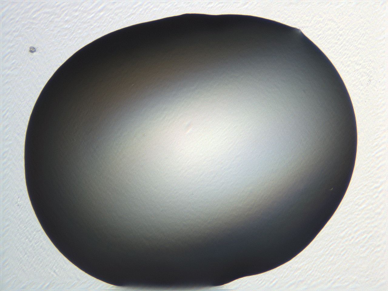 04vf_H12_ImagerDefaults_0.jpg