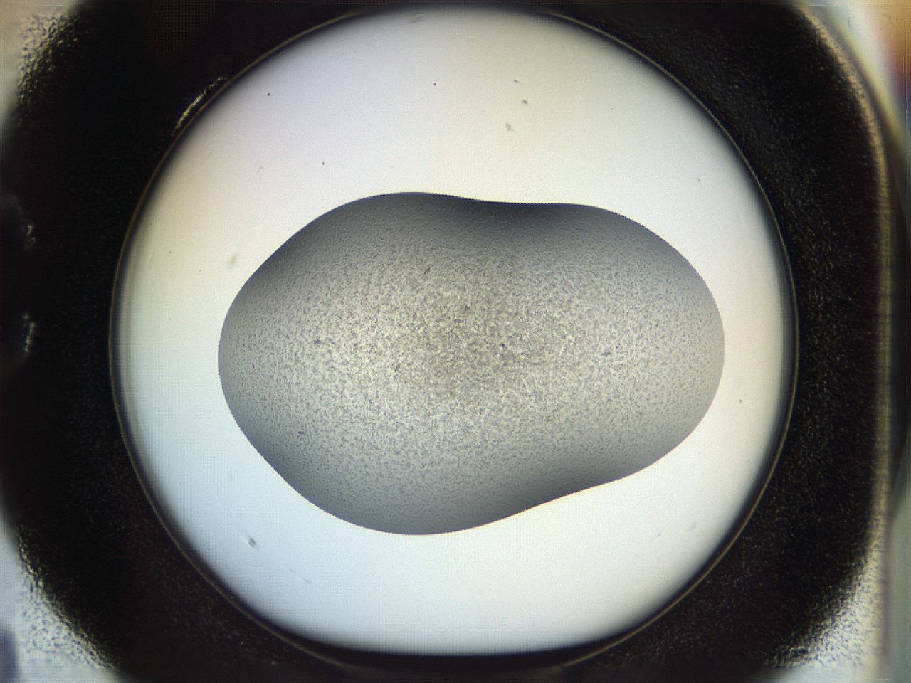 04vh_C4_ImagerDefaults_9.jpg