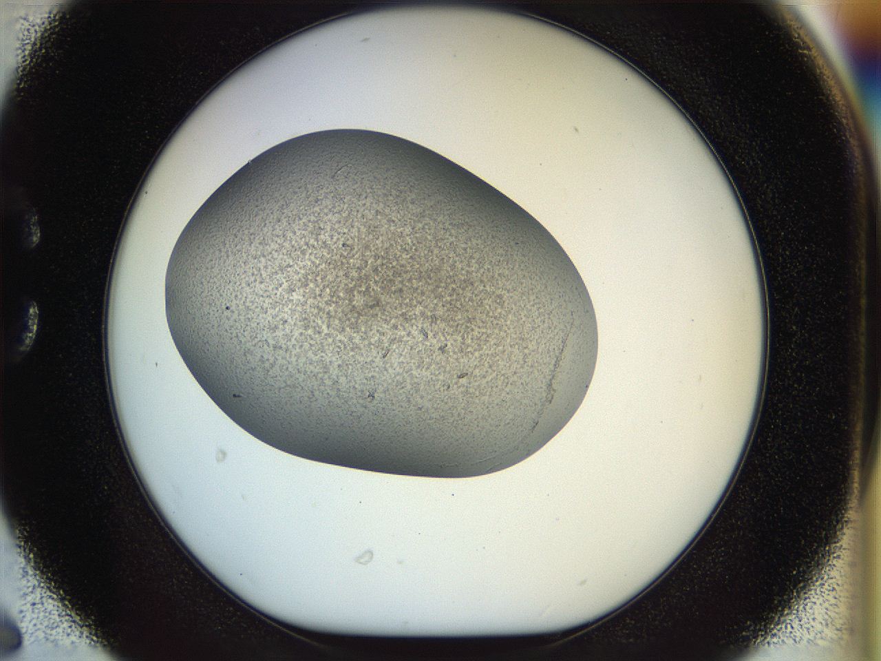 04vh_C6_ImagerDefaults_9.jpg