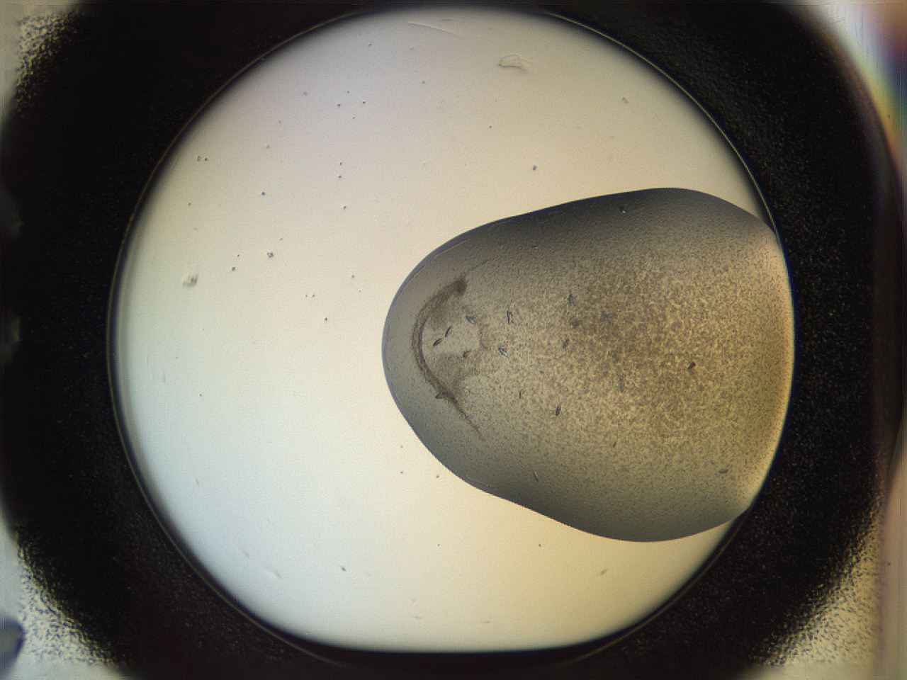 04vh_C7_ImagerDefaults_9.jpg