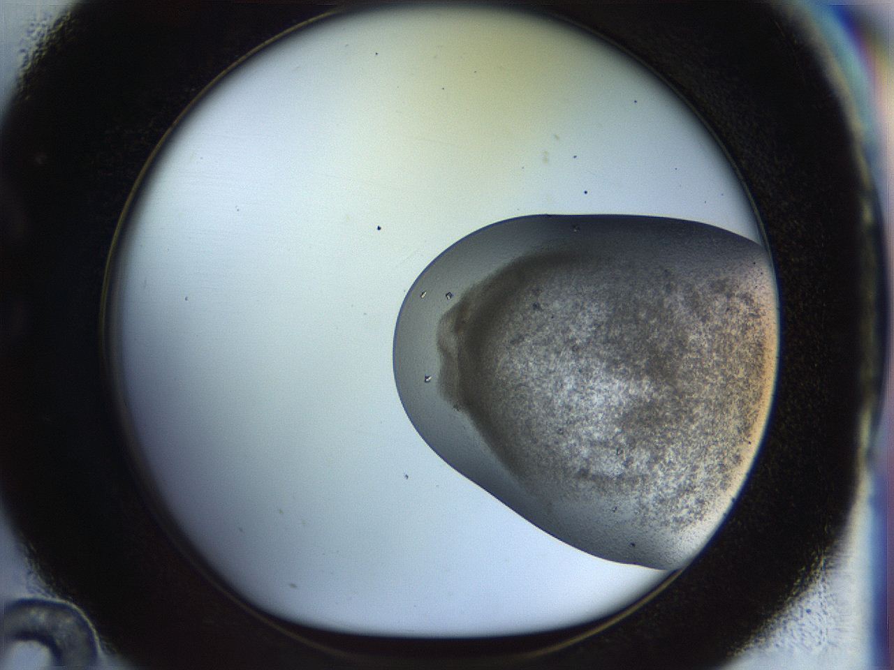 04vh_C12_ImagerDefaults_9.jpg