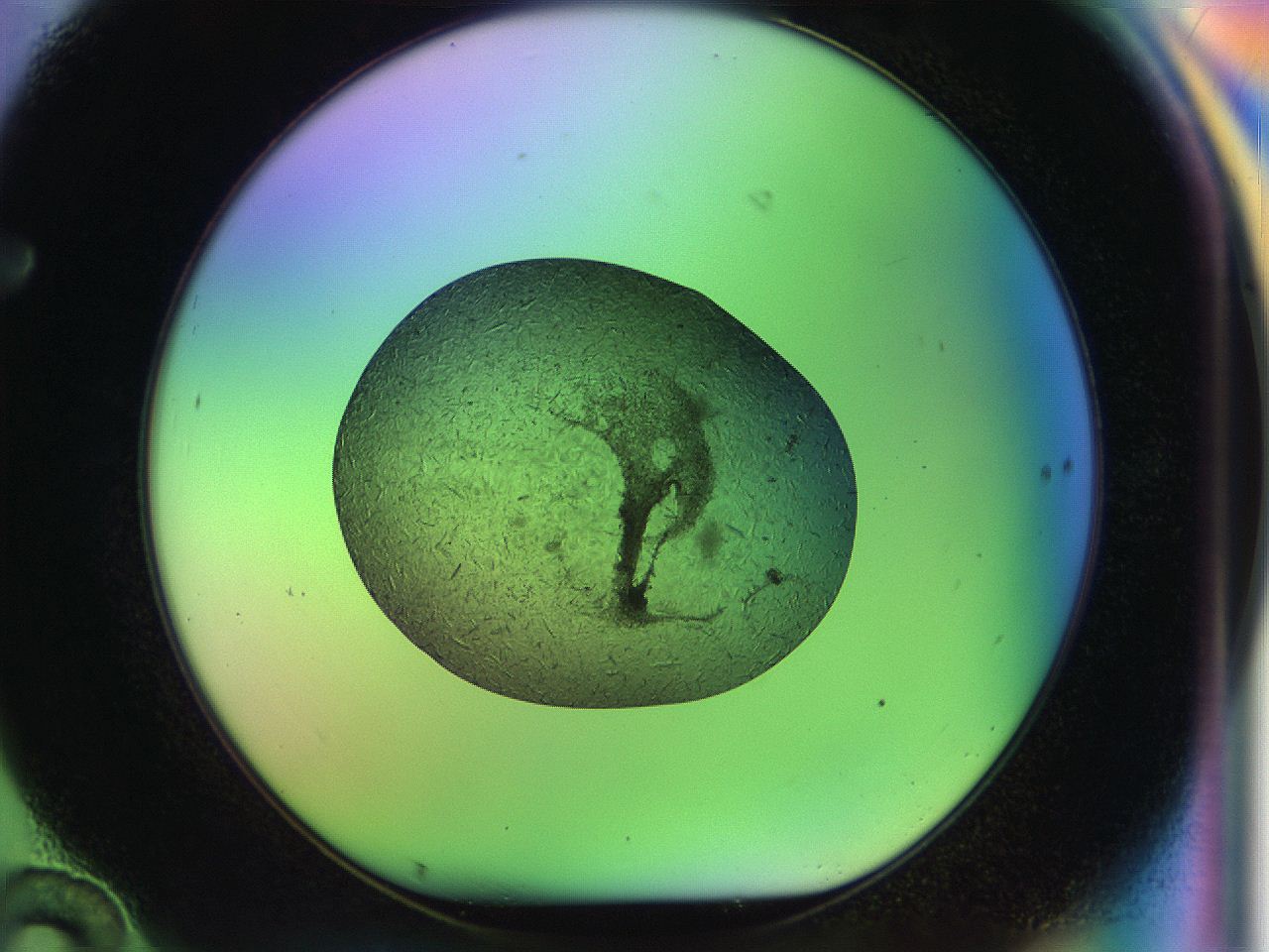 04vt_F10_ImagerDefaults_8.jpg