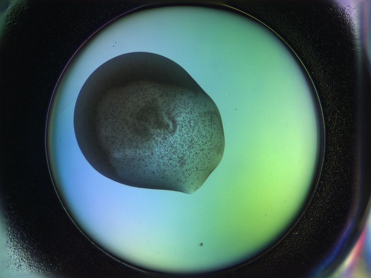 04vt_H5_ImagerDefaults_8.jpg