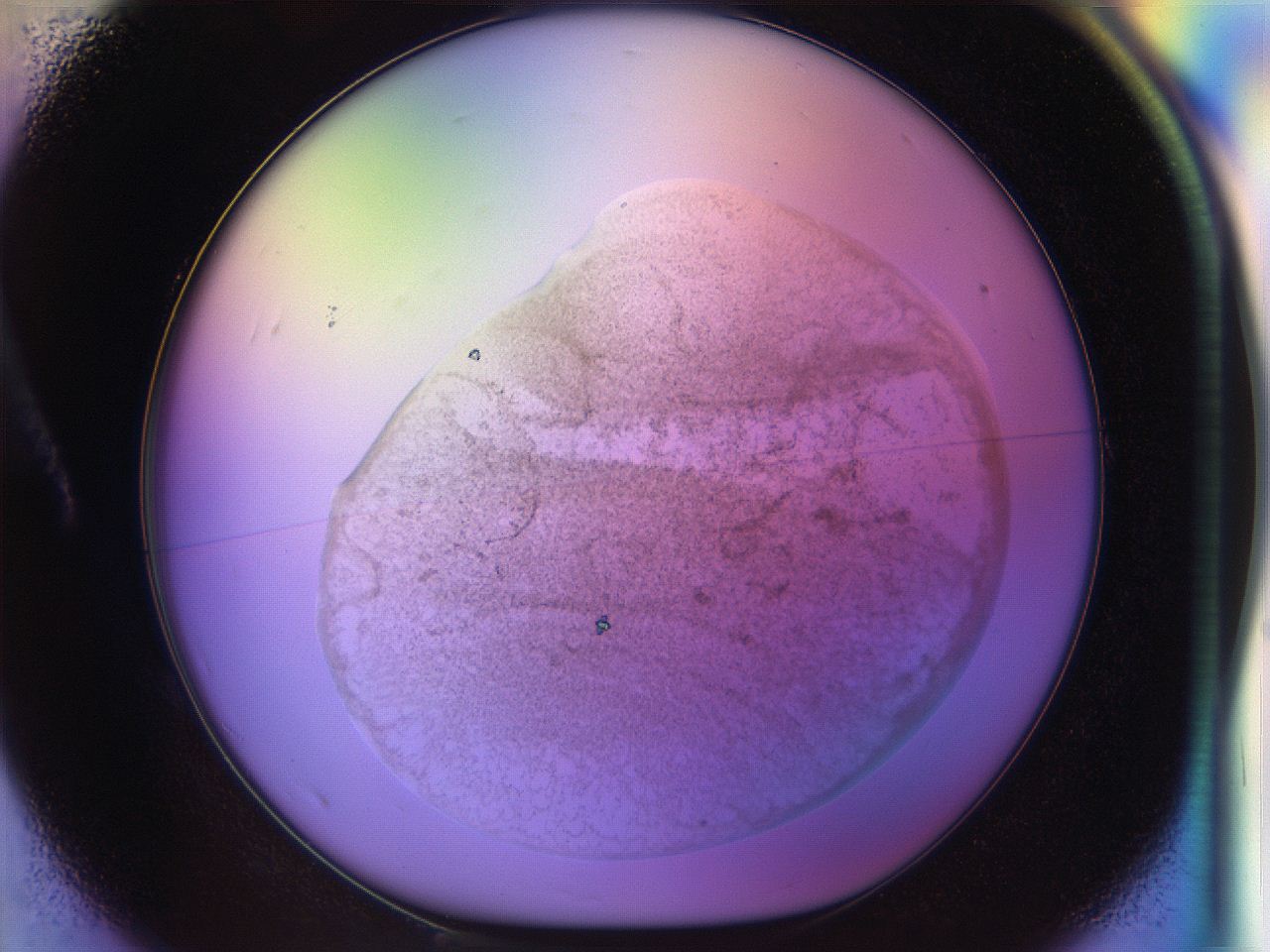 04vt_A1_ImagerDefaults_8.jpg