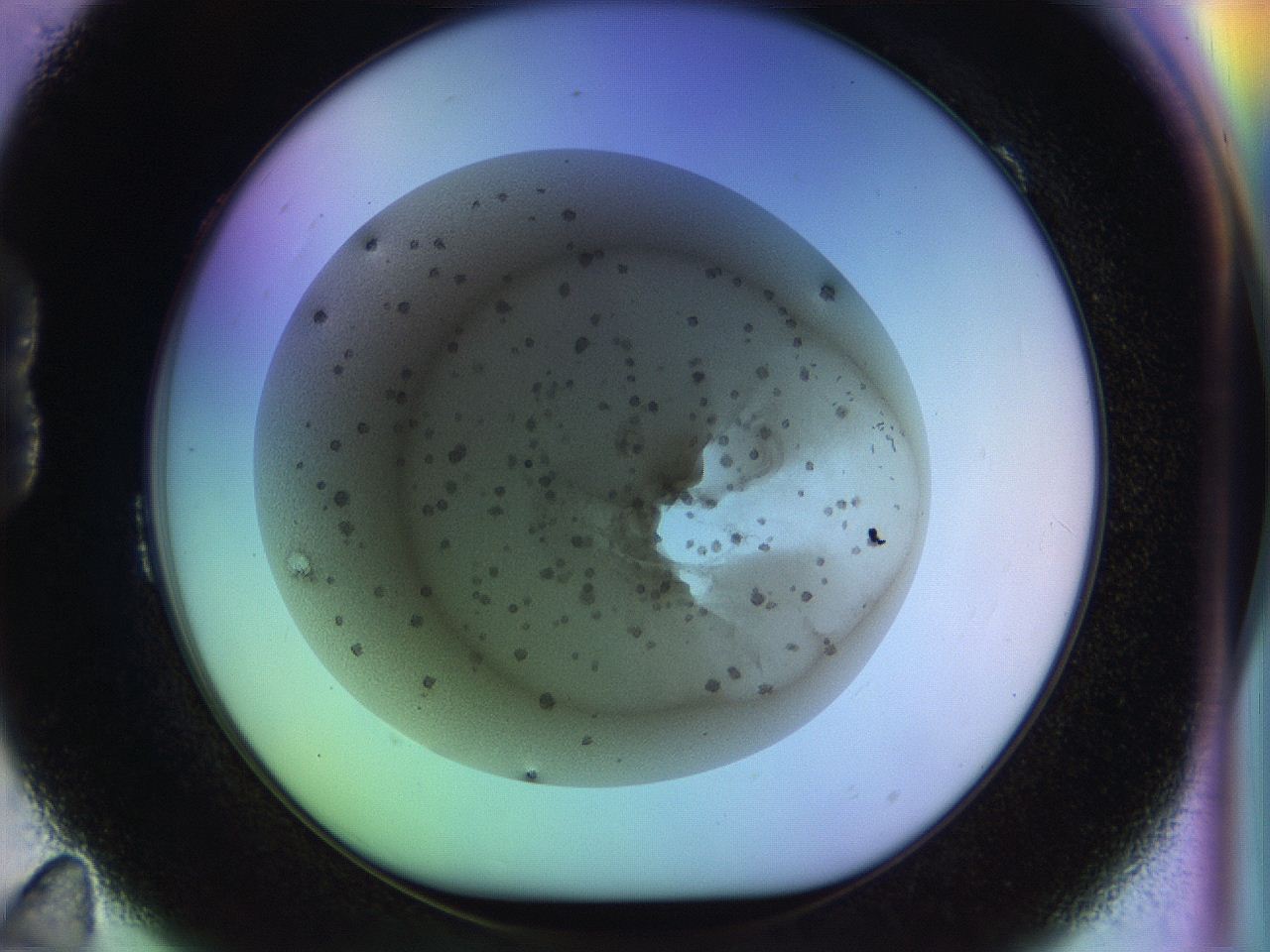 04vw_B11_ImagerDefaults_8.jpg