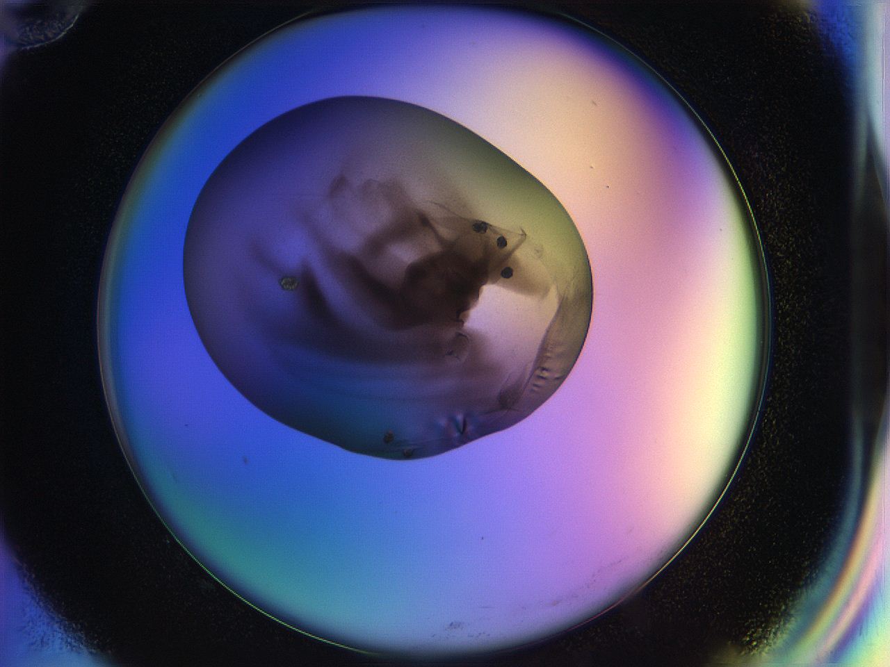 04vx_G10_ImagerDefaults_8.jpg