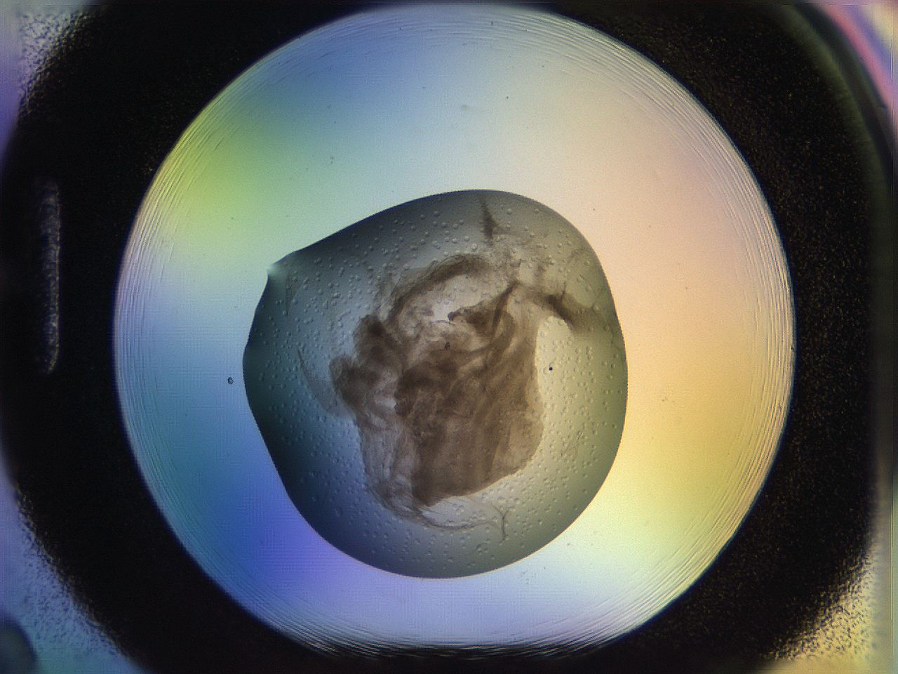 04vx_H2_ImagerDefaults_7.jpg
