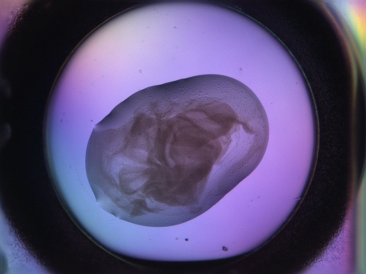 04vx_C8_ImagerDefaults_7.jpg