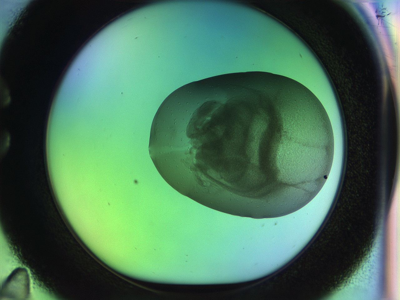 04vx_C11_ImagerDefaults_7.jpg