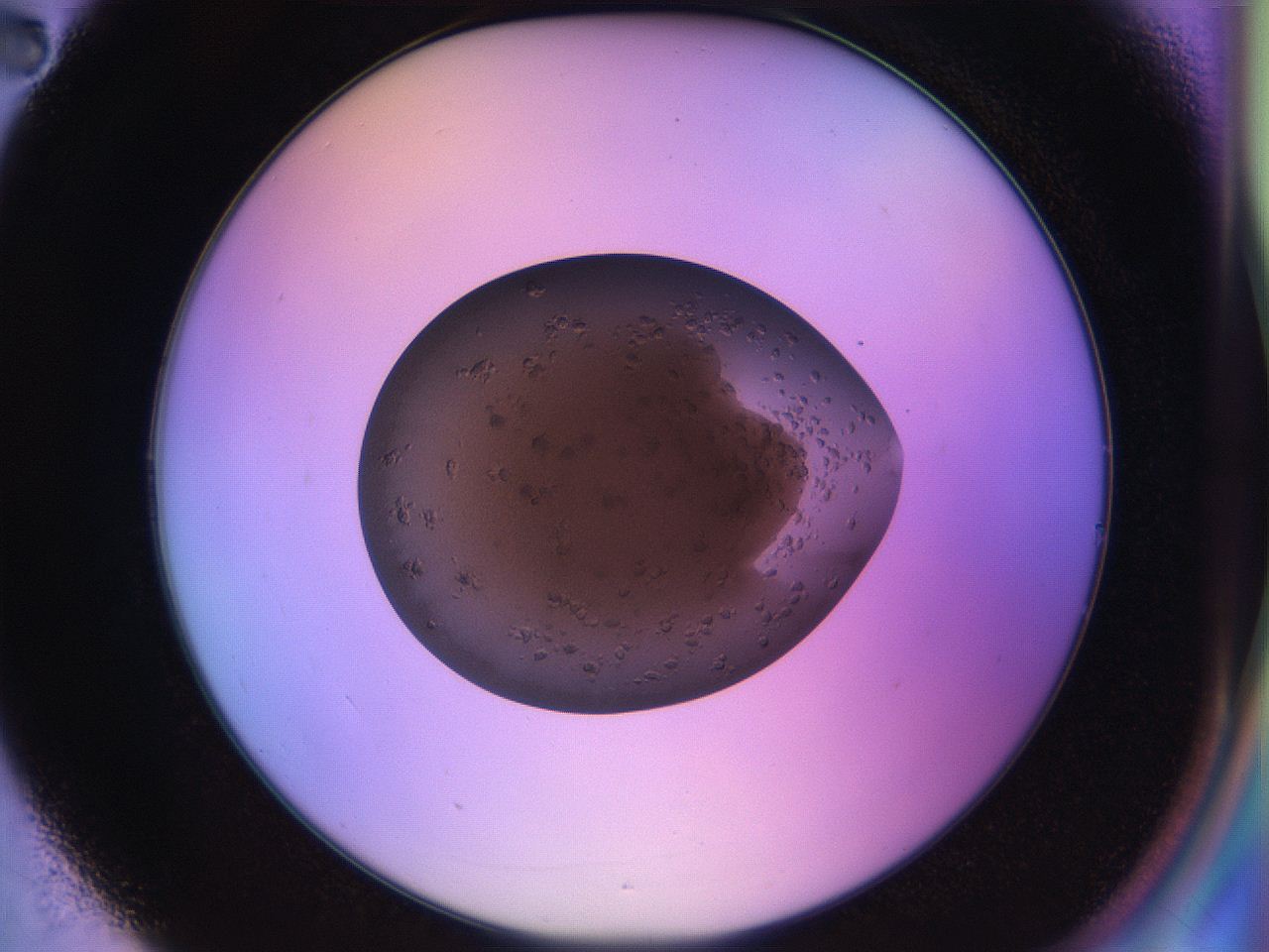 04vx_B2_ImagerDefaults_8.jpg