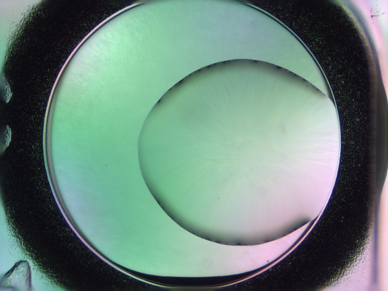 01de_C11_ImagerDefaults_1.jpg