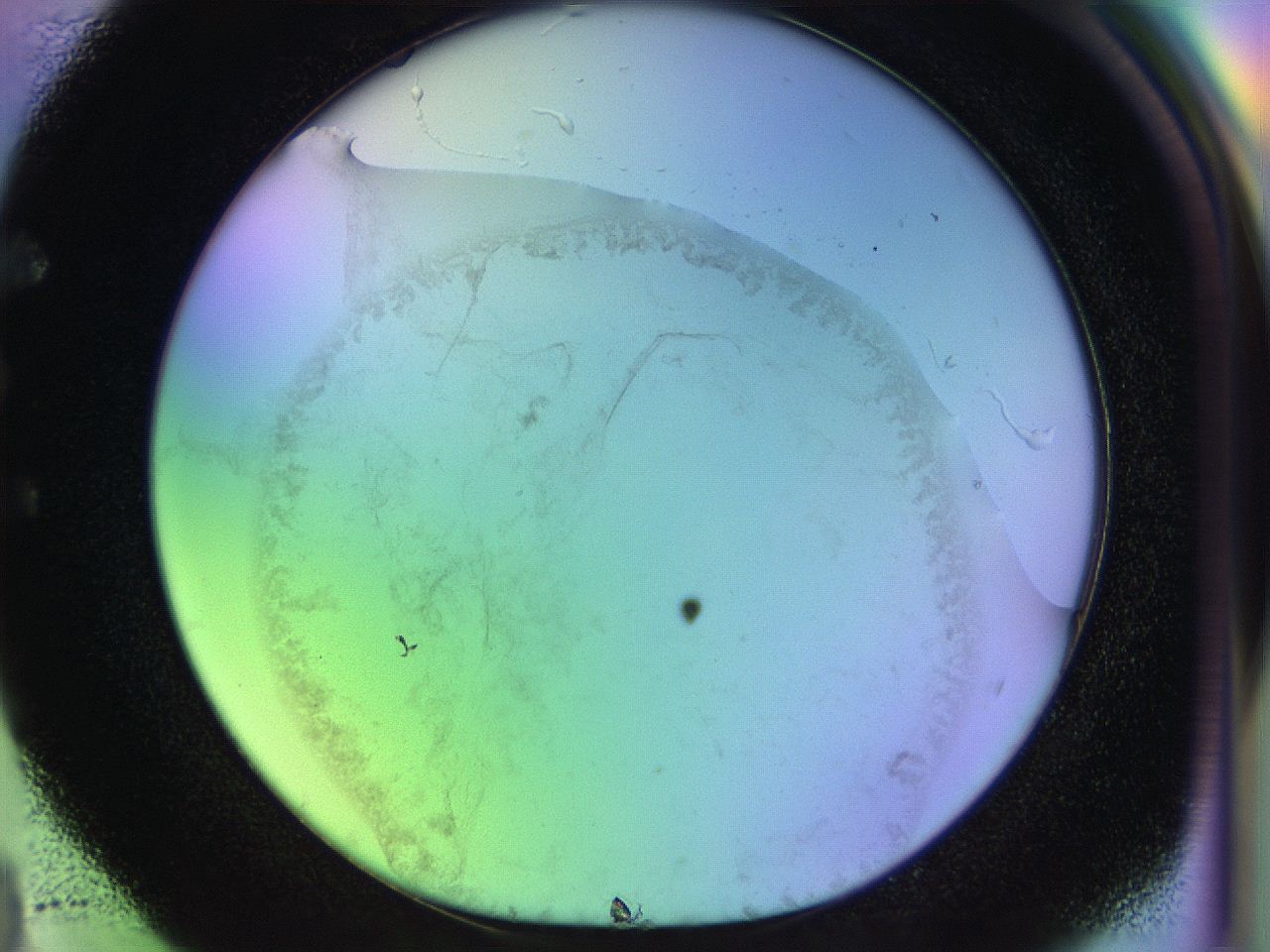 04w1_E4_ImagerDefaults_3.jpg