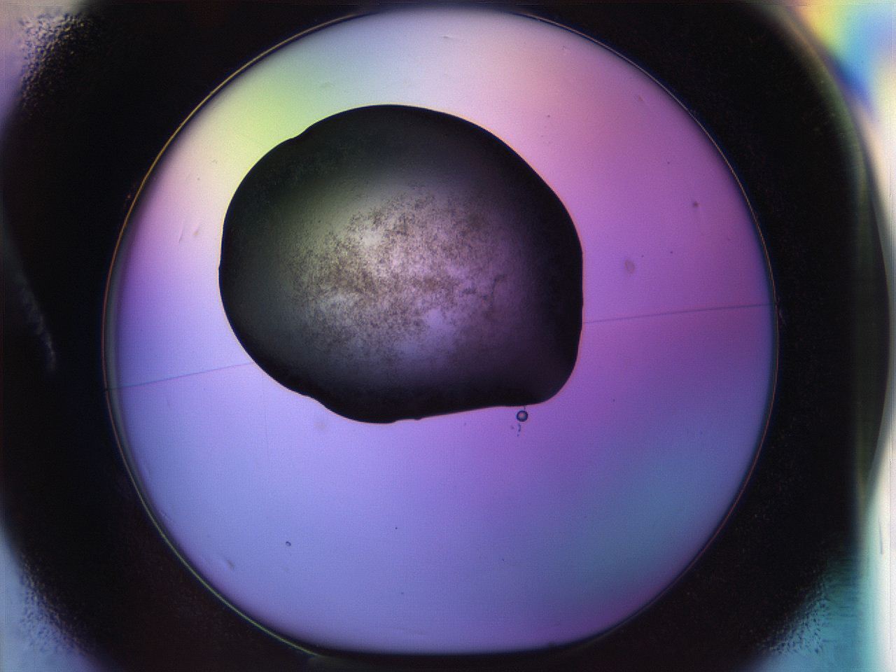 04w1_A1_ImagerDefaults_3.jpg