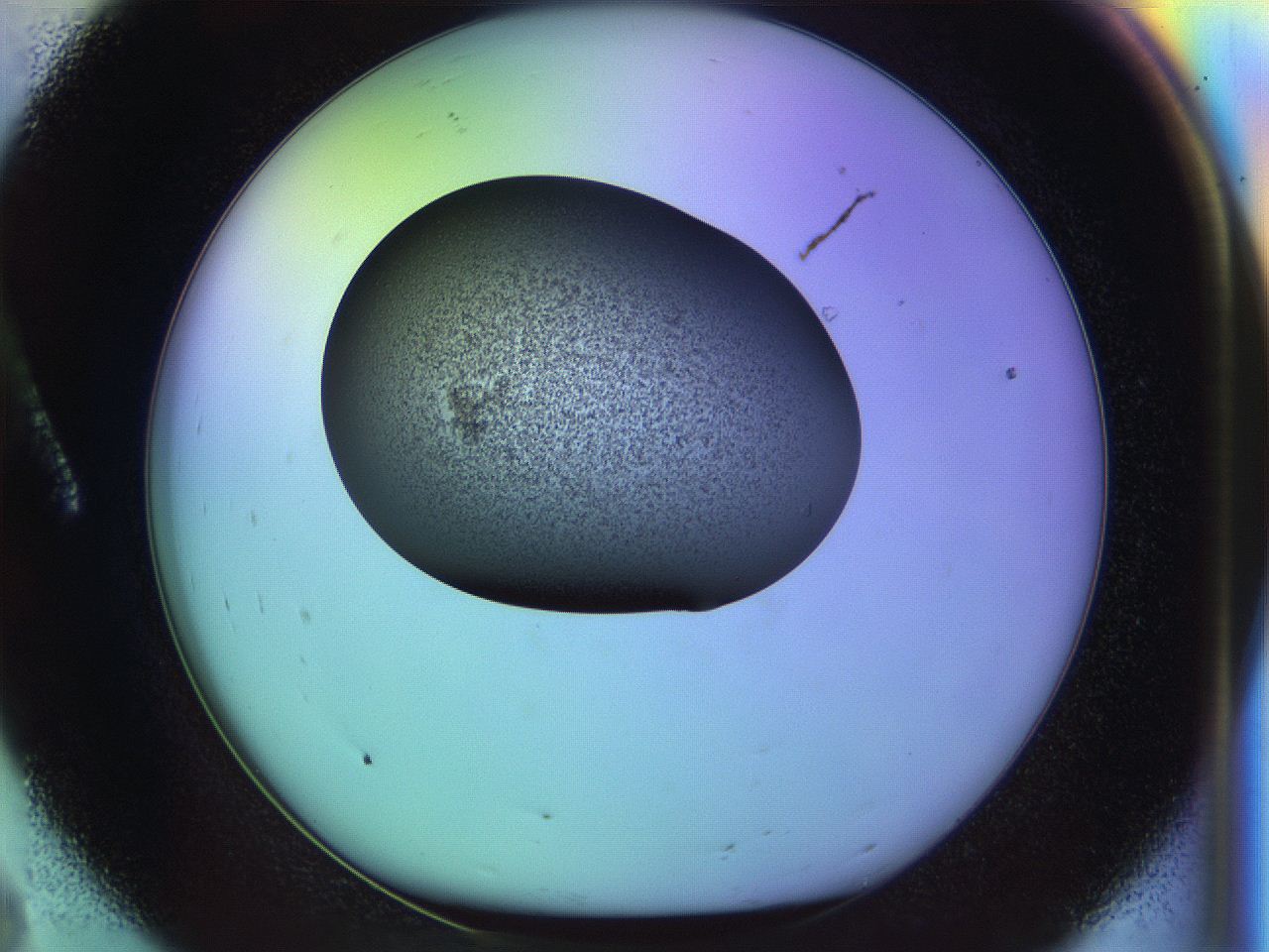 04w1_A8_ImagerDefaults_3.jpg
