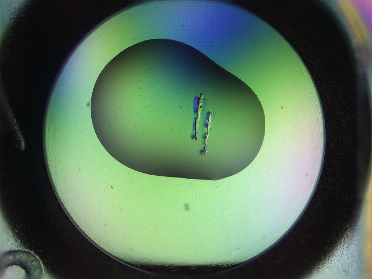 04w1_A12_ImagerDefaults_0.jpg