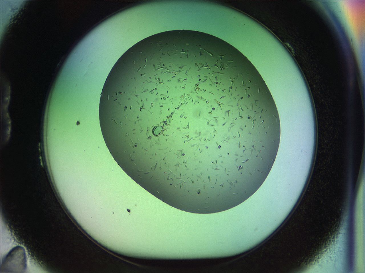 04w1_B11_ImagerDefaults_9.jpg
