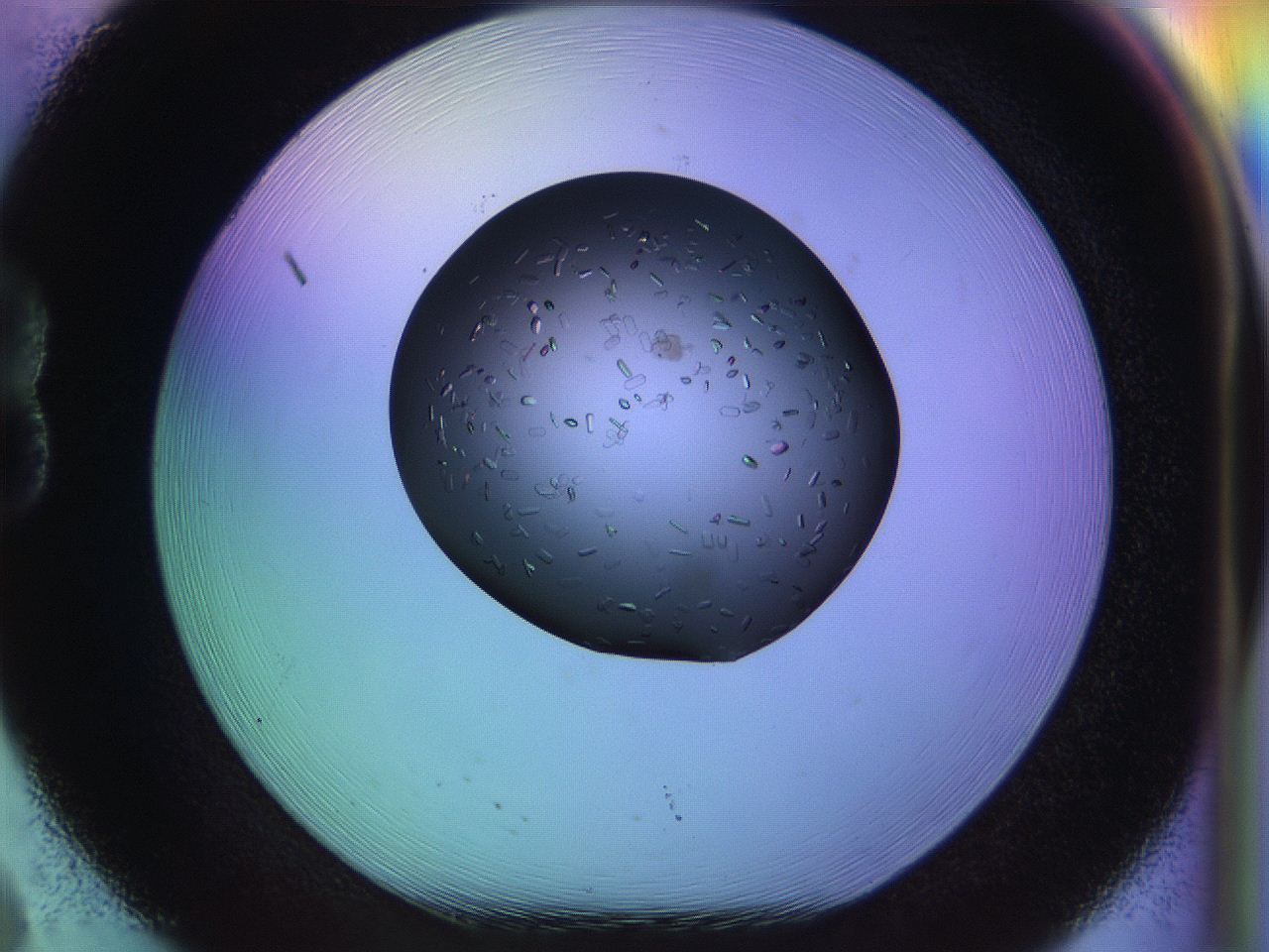 04w1_B8_ImagerDefaults_9.jpg
