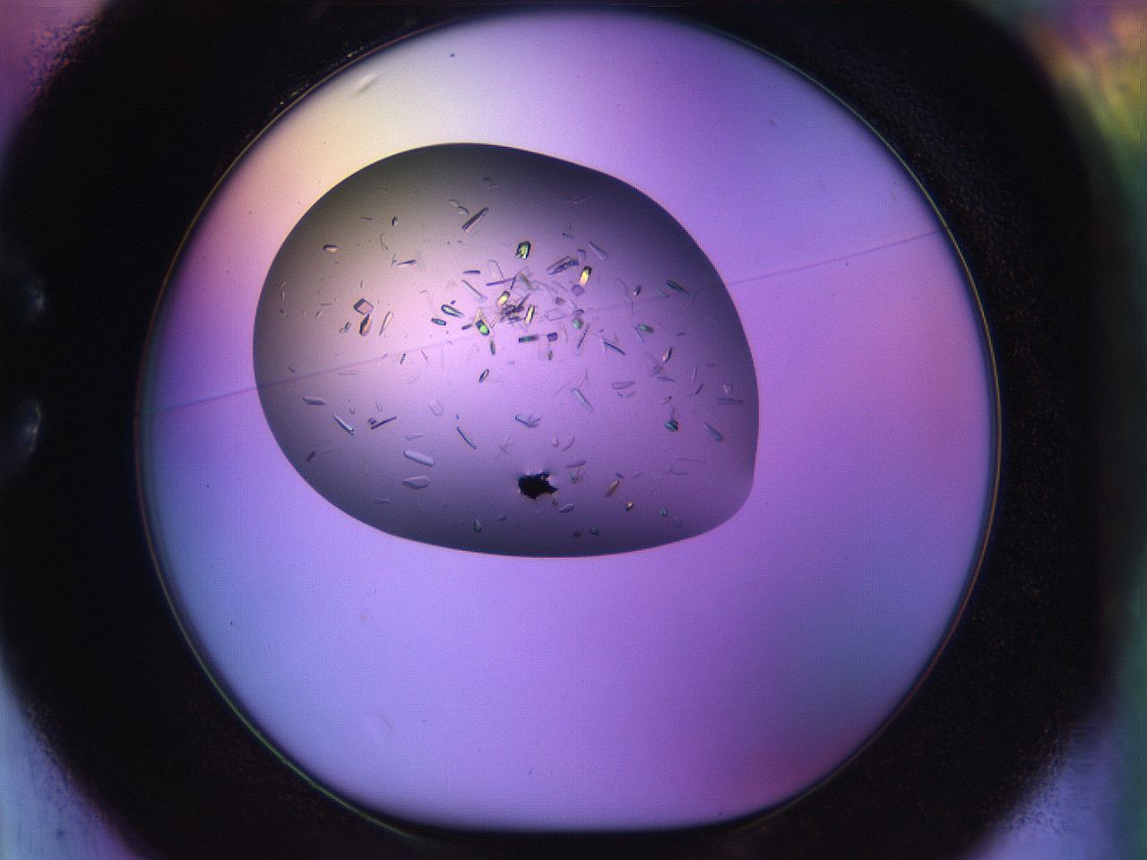 04w1_C1_ImagerDefaults_9.jpg