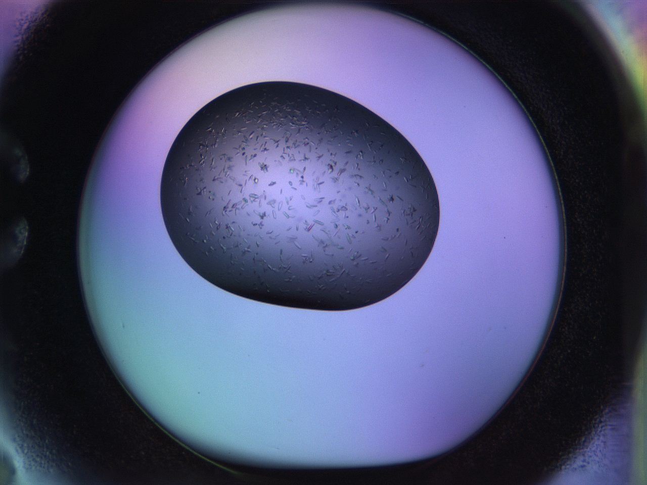 04w1_C3_ImagerDefaults_9.jpg